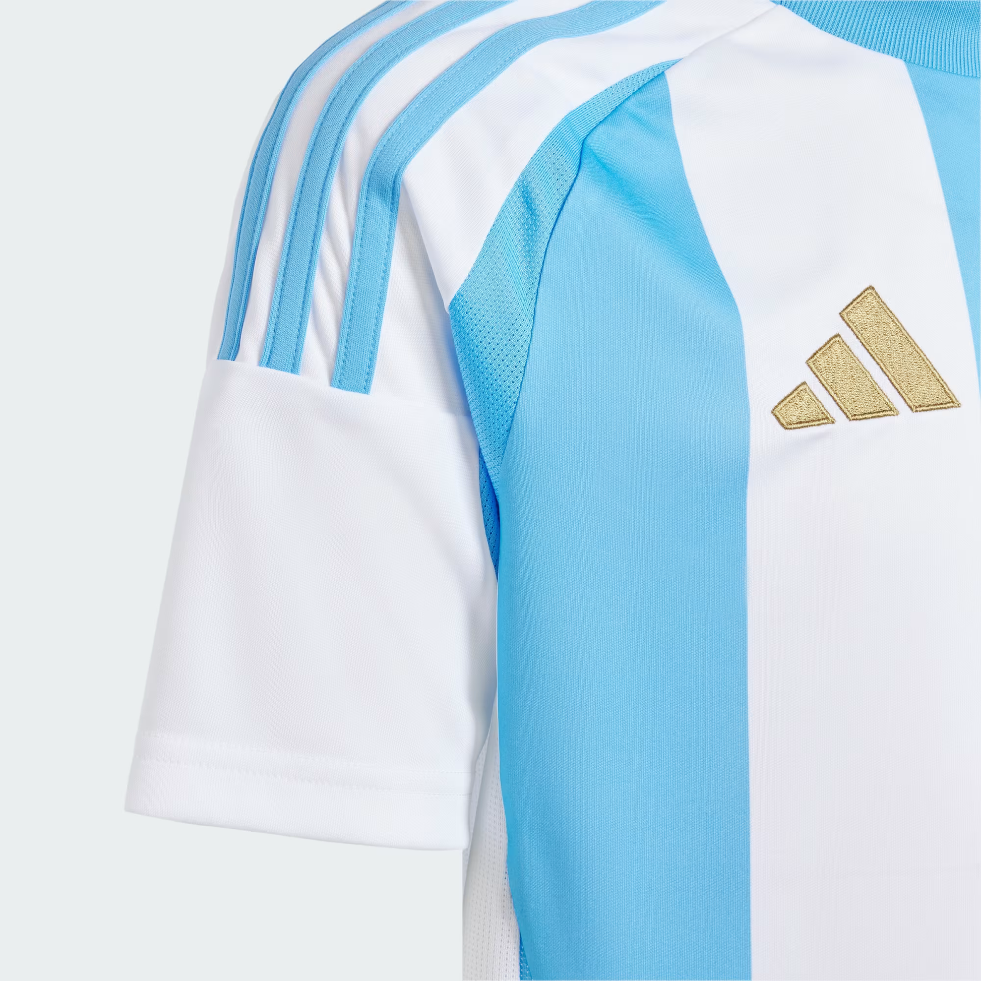 Argentina 2024 Home Shirt Football Jersey | Retrokick